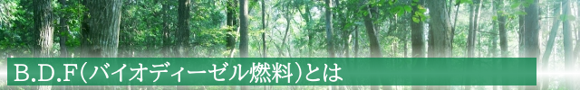 B.D.F バイオディーゼル燃料とは